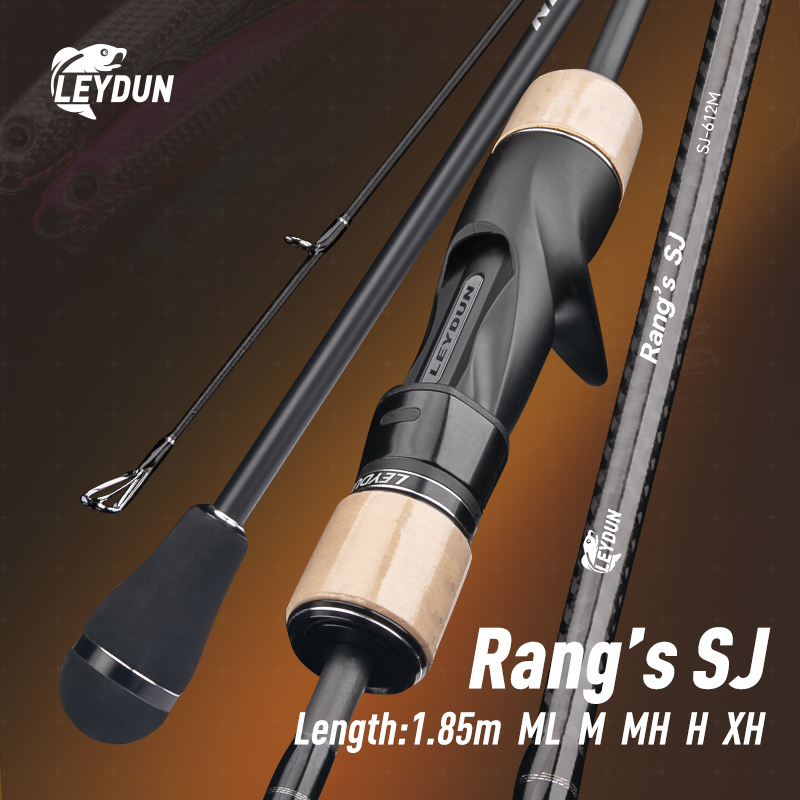 LEYDUN Rang’s SJ Slow Jigging  - Fishing Rod Surf 评论和价格